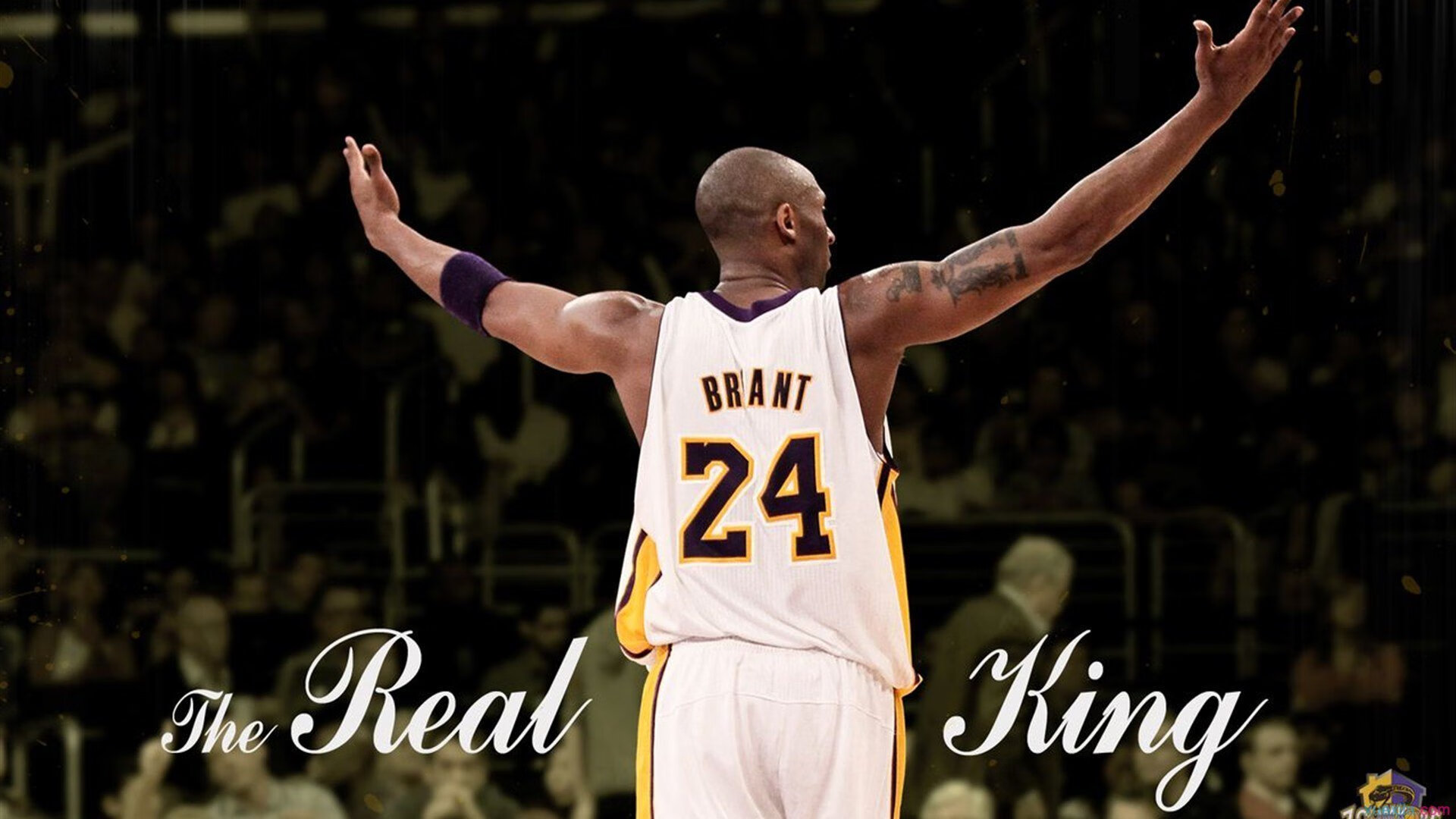 林丹校园演讲强调坚持与热爱，林丹体育精神