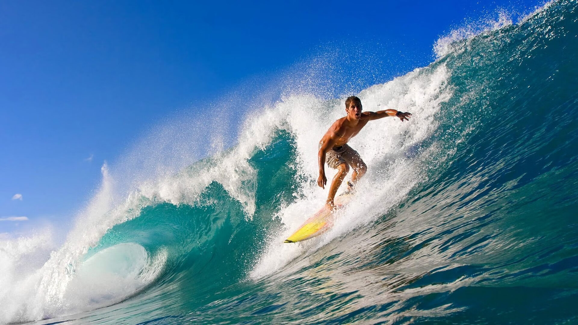 球迷安全：赛事期间安保与突发事件应对总结，赛事安保方案