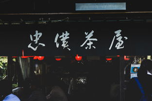 战队参与城市形象片拍摄展示电竞力量，战队形象照