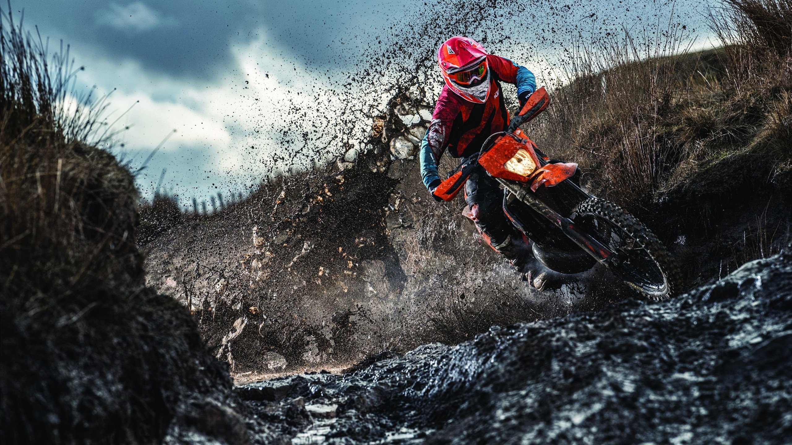 职业电竞选手训练体系逐步完善，职业电竞选手培训